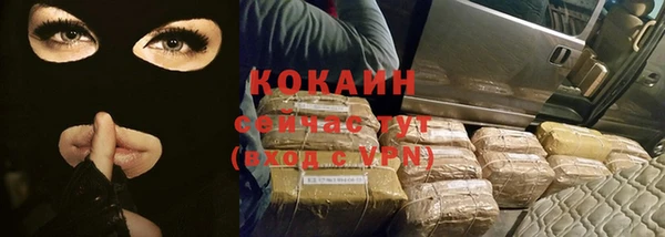 хмурый Сосновка