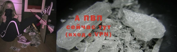 хмурый Сосновка