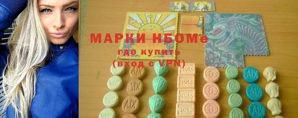 гашик Снежногорск