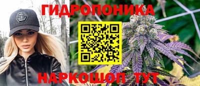 а пвп мука Кингисепп